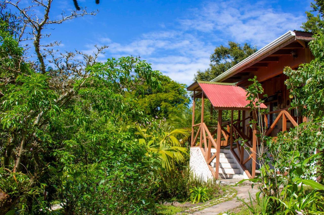 Hotel Holistico Monteverde Exterior foto